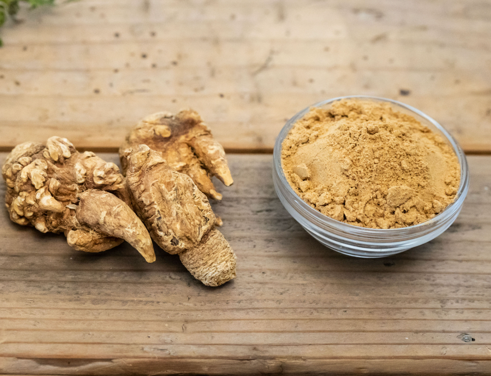 <p>Ce que dit la science sur nos plantes</p>